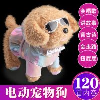 儿童电动毛绒玩具狗狗会唱歌会叫走路小狗机器狗男孩女孩仿真泰迪 拉风泰迪狗 [送电池]120首歌曲+故事+诗词