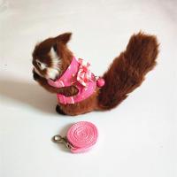 龙猫胸背带龙猫绳宠物貂牵引绳雪貂龙猫兔子松鼠外出牵引绳 烫金星星(带铃铛) S号