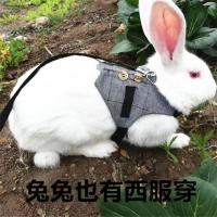 溜兔绳猫咪小宠狗胸背牵引绳防挣脱绅士礼服西服小宠用品 绅士礼服款 S（脖18-23cm胸26-29）