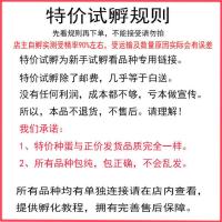 鹌鹑受精种蛋可孵化巨型肉鹌鹑白沙维法国巨型非洲黑熊猫芦丁鸡 特价试孵种蛋16枚(不包)