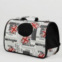 猫包太空宠物舱包外出便携狗狗装猫笼子双肩猫袋用品书包猫咪背包 手提款[3斤以内] 标准四件套