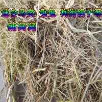 新稻草泥碎草柔软干草饲料兔子谷草保暖稻草垫纤维天然草垫窝 碎稻草宠物保暖1斤特价