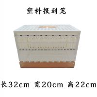 折叠木质放飞笼帆布笼训放笼赛鸽笼放飞笼训鸽笼信赛鸽子用品鸽具 塑料报到笼1个