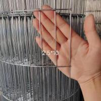 长孔镀锌铁丝网养殖网鸟笼网电焊网防护网鸽子鹌鹑鹦鹉笼镀锌网 2.5*10厘米孔 0.3米宽1米长2.0毫米丝
