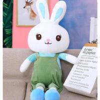 可爱兔子毛绒玩具公仔儿童玩偶女孩生日礼物抱枕小白兔公主布娃娃 背带兔绿色 46厘米