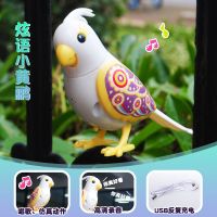 会唱歌学说话小鸟仿真鹦鹉录音声控电动智能充电儿童宠物玩具黄鹂 炫语小黄鹂