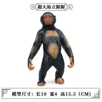 仿真动物猩猩金刚模型塑胶静态摆件 巨猿大号黑猩猩野生动物模型 M-1204大站立猩猩