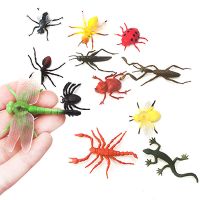 外贸仿真小昆虫动物模型儿童恐龙玩具牧场农场海洋动物套装玩具 12只昆虫