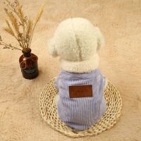 狗狗衣服春秋季 灯芯绒棉衣 泰迪比熊小型犬宠物保暖加绒可爱棉衣 雪青色 S (荐1-3斤)