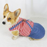柯基狗狗衣服夏装春季薄款泰迪中小型犬背心裙子比熊法斗拉布拉多 红色条纹小熊牛仔裙(薄款无袖) XS背长20(建议2-3斤