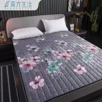 南方生活四季通用防滑薄床垫可机洗床护垫榻榻米保护垫单双人家用 遇见 90x200cm