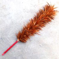 手工鸡毛掸子除尘扫灰可伸缩家用不掉毛车用清洁羽毛禅子老式毯子 73厘米[缠皮]