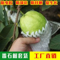 番石榴网套袋芭乐防虫网套袋专用一体泡沫包装袋石榴袋水果网套袋 100套 厚款