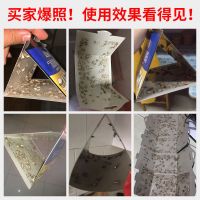 蛾子米面蛾诱捕器衣蛾驱飞蛾陷阱小飞蛾杀飞蛾除飞蛾灭飞蛾米蛾 1片