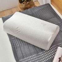 南方生活 升级款磁疗慢回弹记忆枕头送内套外套颈椎枕成人枕头芯 针织提花款[无磁石+外套] 特价30*50cm一只装