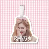 Rosé朴彩英Jennie智秀JiSoo书包挂件行李牌逢考必过同款blackpink Rose朴彩英H(超)
