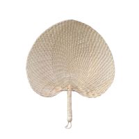 蒲扇子夏季扇男手工草编扇折扇手摇扇宝宝纳凉驱蚊扇子棕叶大蒲扇 迷你儿童款