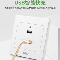 国际电工暗装四孔220伏转5V家用墙壁USB手机充电插座面板2.1A快充 暗装 2口USB(220V转5V)