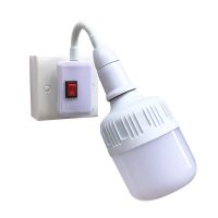 LED节能灯带开关插电小夜灯床头壁灯插座灯座插头夜光看书喂奶灯 E27带开关灯头(2插脚) +5瓦灯泡