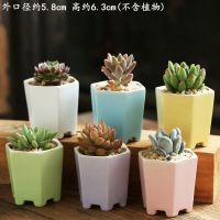 多肉花盆套装组合创意个性卡通肉肉植物小号陶瓷盆器特价清仓 六边几何组合6个