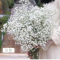 超大束满天星干花花束批发鲜花客厅装饰摆件生日礼物情人节大束 进口白色满天星 半斤