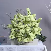 云南天然干花花束勿忘我大束情人草水晶草满天星家居摆设装饰鲜花 13支 黄勿+草 不含花瓶