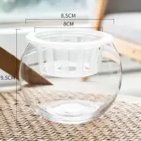 透明玻璃花瓶水培植物绿萝花盆鱼缸养花养鱼鱼缸 肚径12圆球(水培篮+陶粒) 1个装