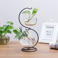 悬挂小鱼缸玻璃小生态悬挂斗鱼缸装饰景观透明迷你缸办公桌面鱼缸 S铁架+小冬瓜+12厘米鱼缸