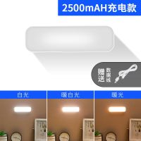 遥控台灯宿舍学习灯磁吸书桌学生护眼充电LED酷毙灯寝室床头阅读 触控款(可调光调色) 10厘米长(充插两用800毫安)