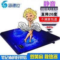 风驰五岳笔记本散热器底座DCX-007便捷式底座散热器 黑色