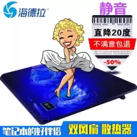 风驰五岳笔记本散热器底座DCX-007便捷式底座散热器 黑色