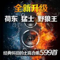 荷东猛士野狼王经典的士高DJ舞曲合集高音质车载音乐U盘USB盘MP3 荷东猛士野狼王经典的士高DJ舞曲合集高音质车载音乐