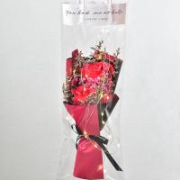 教师节满天星干花束透明手提袋ins毕业生日公司庆儿童节创意礼物 红色玫瑰+透明手提袋 收藏加购送灯串