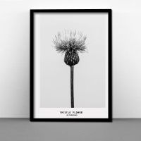 实木大相框挂墙16寸18 20 24 30 32寸4开8K海报拼图装裱画框A4A3 黑色 A4挂墙[21*29.7cm]