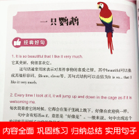 零基础学好小学英文写作大全零基础小学生三四五六年级英语语法句型专项同步训练英语作文入门与提高阅读与写作方法技巧书天天练