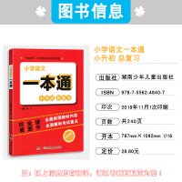 2021版 小学语文一本通小升初总复习刺权威全面提升语文全新版小学生语文知识必备全盘梳理教材内容全面解析考试重点知识点总