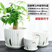 花盆陶瓷批发特价清仓大号特大带托盘简约绿萝塑料吊兰小多肉花盆 花瓣草三件套带托盘