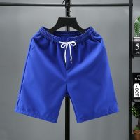 夏季短裤男士休闲裤韩版潮流格子五分裤居家百搭宽松外穿沙滩裤子 K001蓝色 M建议80-100斤