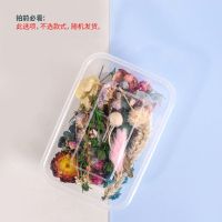 DIY新娘头饰花环相框团扇浮游花干花材料包永生花幼儿园手工活动 花材随机盒(盒装(随机 花材不能指定 干花包