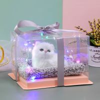 生日礼物女生高级感闺蜜少女心可爱猫咪创意男朋友学生七夕情人节 小白猫 单子装