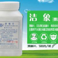 漂精片消毒片饮用水井水地下水污水餐饮餐具果蔬衣物消毒杀菌除味 500g