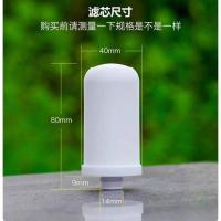 乐好泉泽洋兴安邦乐品牌通用水龙头净水器滤芯高科技石头陶瓷滤芯 水卫士滤芯2个装