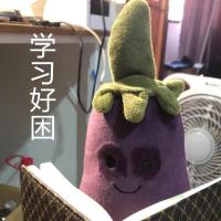 JELLYCAT茄子玩偶公仔娃娃毛绒玩具抱枕毕业生日礼物送女男生朋友[8月20日发完] 茄子先生[袋子装] 10cm[礼