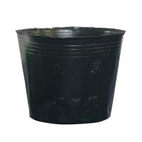 营养杯育苗杯一次性黑色营养袋育苗袋大号播种塑料育苗盆营养钵 16*16[直径13高13]30个
