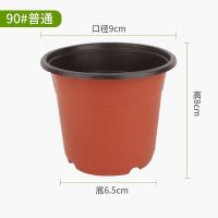 双色盆加厚大号多肉盆一次性简易花盆塑料营养钵营养杯双色育苗盆 90#普通(100个)