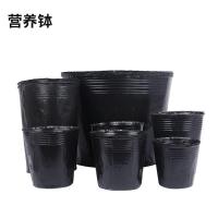 加厚营养杯育苗杯大号一次性花盆黑色种植塑料育苗袋育苗盆营养钵 15x15(口径11高11)100个