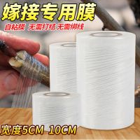 [嫁接膜果树专用膜自粘式接树免拆缠绕嫁接薄膜嫁接带专用膜3厘米 常用宽 5cmX200米[1卷]