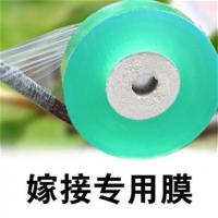 自粘式园林果树嫁接专用膜包扎带缠绕膜接树嫁接膜嫁接胶带 2.5cm宽150米长(1卷)