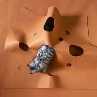 猫隧道猫迷宫宠物玩耍垫猫咪敏捷训练垫猫咪玩具撕咬垫猫砂垫 大号 适合10斤以内的猫咪