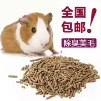 宠物何兰猪活体何兰猪豚鼠荷兰兔活体用品黑豚彩豚送饲料疫苗已打[8月20日发完] 荷兰鼠饲料2斤